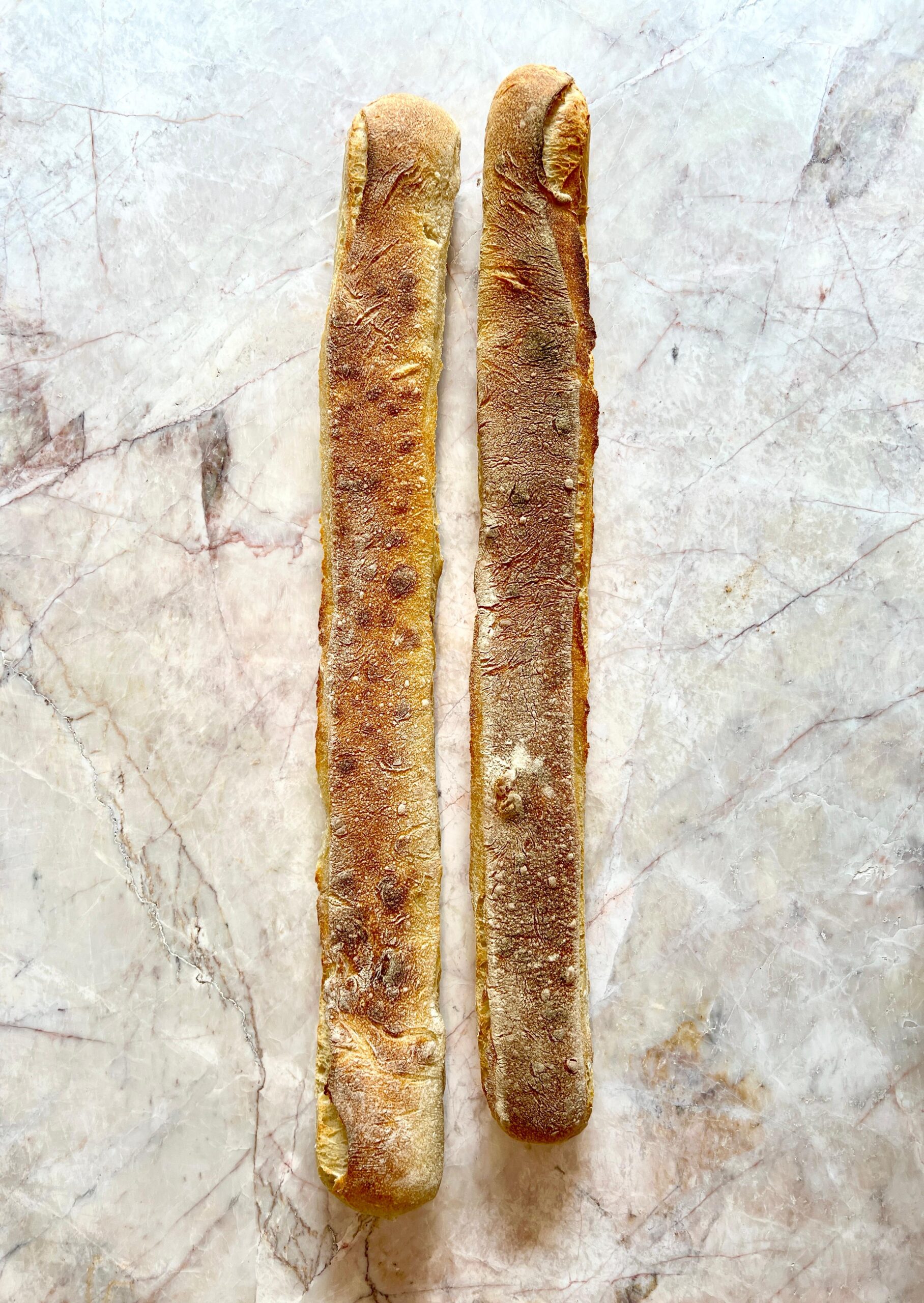 2 Barras de Masa Madre