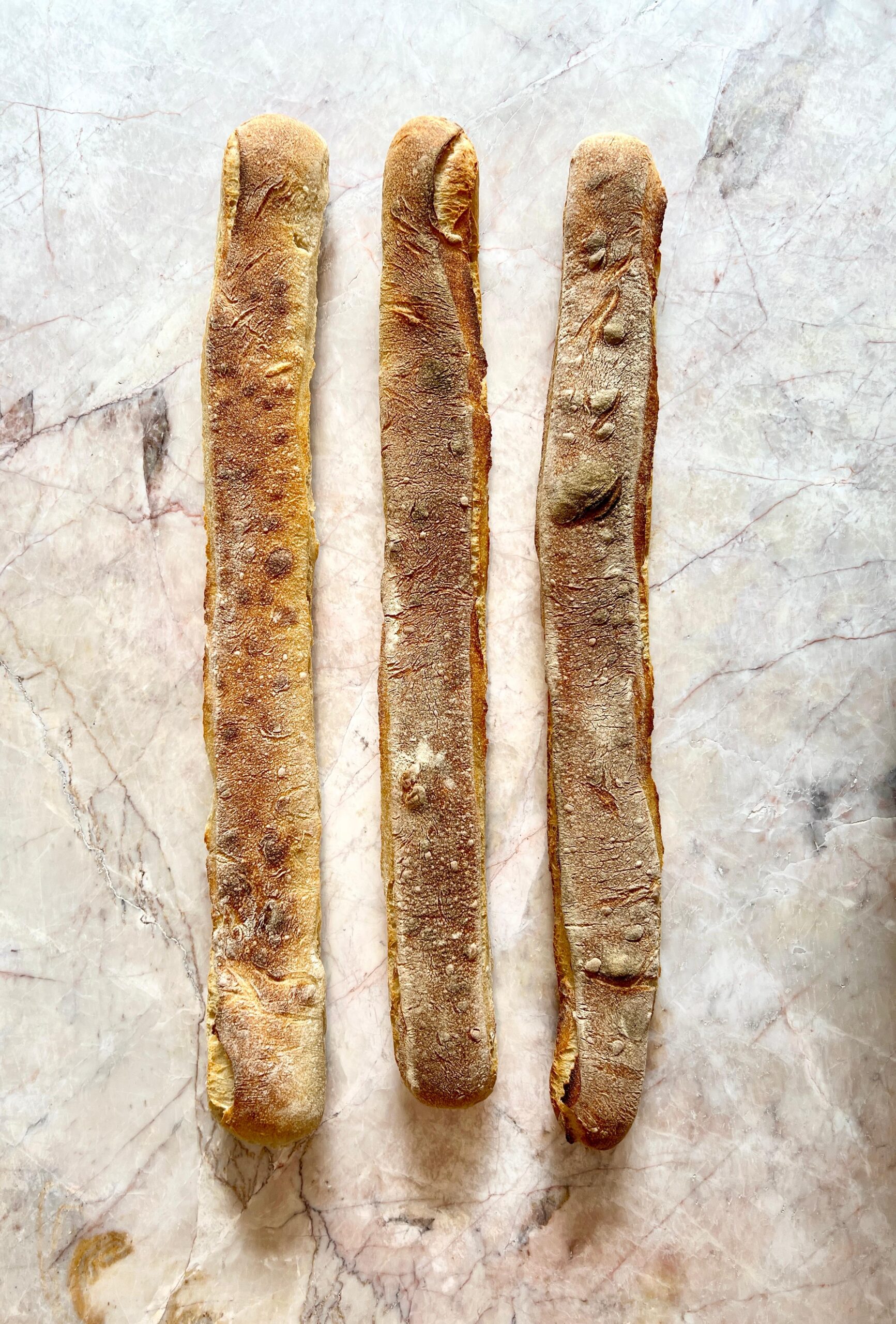 3 Barras de Masa Madre